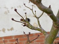 IMG_0082.jpeg