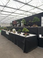 IMG_3034.jpeg