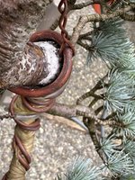 IMG_1783.jpeg