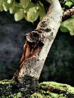 FB_IMG_1718829334191.jpg FB_IMG_1718829334191.jpg