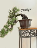 IMG_0996.jpeg IMG_0996.jpeg