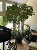 IMG_8428.jpeg