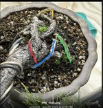 IMG_0247.jpeg IMG_0247.jpeg