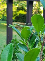 20240621_190506.jpg