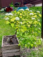 IMG_1384.jpeg