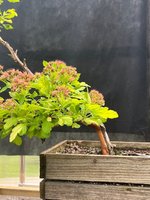 IMG_1512.jpeg
