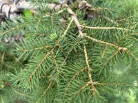 IMG_6708.jpeg