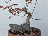 IMG_0073.jpeg