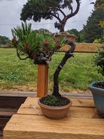 IMG_3577.jpeg