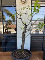 IMG_0851.jpg