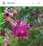 Screenshot_20240703_125232_Google.jpg