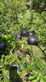 20240704_154008.jpg 20240704_154008.jpg