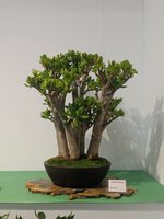 20240704_102812.jpg
