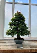 IMG_1659.jpeg