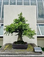 IMG_1646.jpeg