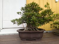 PXL_20240708_105351184.jpg