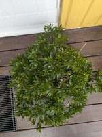 PXL_20240708_105410178.jpg