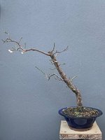 IMG_0357.jpeg