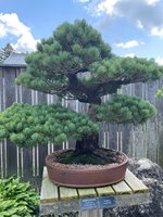IMG_2578.jpeg