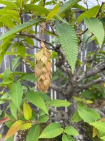 IMG_2580.jpeg