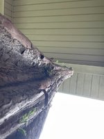 IMG_2951.jpeg