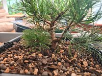 20240724_160746.jpg 20240724_160746.jpg