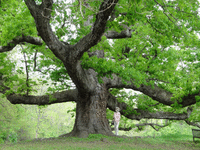 IMG_2105.gif