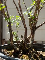 IMG_5349.jpeg