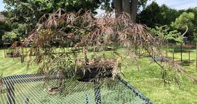 IMG_2801.jpeg