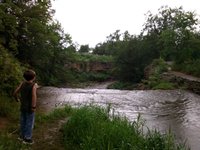 IMG_20240705_132454390.jpg