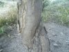 spring 2014 283.jpg