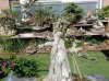 DSC01166.jpg DSC01166.jpg