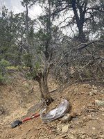 IMG_4541.jpeg