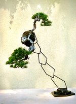 IMG_8776.jpeg