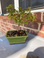 IMG_5099.jpeg