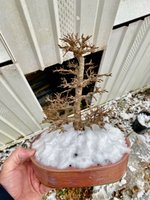 IMG_3306.jpeg