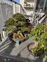 dobby_20190914_1.jpg