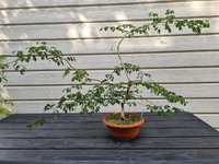 20240817_104013.jpg 20240817_104013.jpg