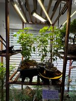 IMG_0216.jpeg