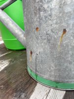 IMG_2731.jpeg