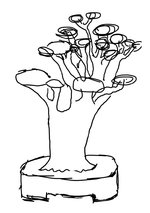 penup_20240819_164117.jpg