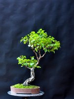 DSC_6827.jpg