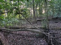 20240824_072323.jpg