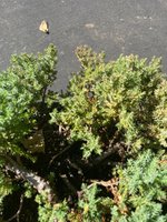 IMG_4856.jpeg