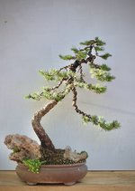 IMG_6269.jpeg