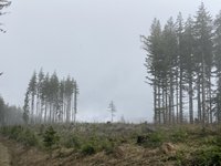 1725902691943.jpeg