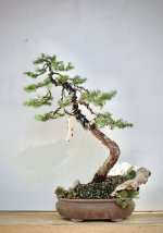 IMG_6267.jpeg