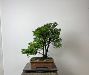 IMG_0873.jpeg