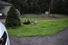DSC_1387.JPG
