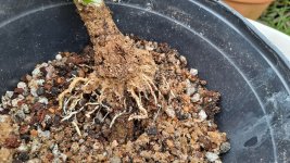 20240915_110125.jpg 20240915_110125.jpg